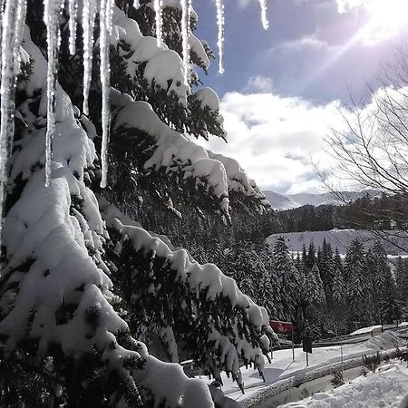 Les Marmottes Apartment Arpajon-sur-Cere ภายนอก รูปภาพ